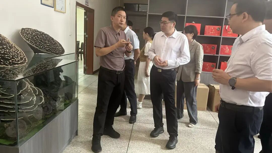 1773908605684055807.jpg 640 (3).jpg